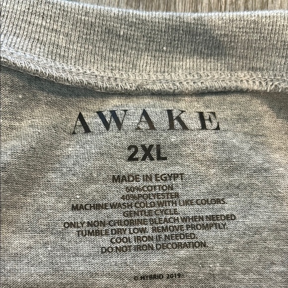 Awake Gray Graphic T-Shirt with Crew Neck and Short Sleeves - Picture 4 of 5